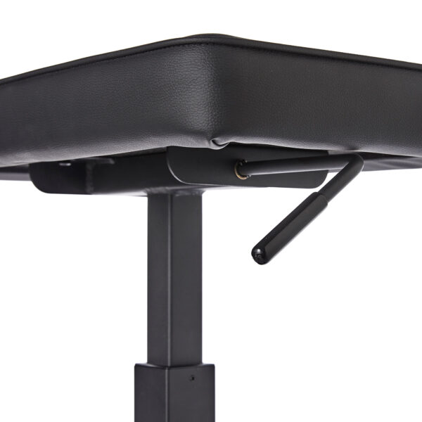 SG60NP - Panchetta professionale con pistone idraulico - leva